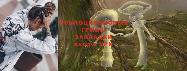 молекула духа Алзамай