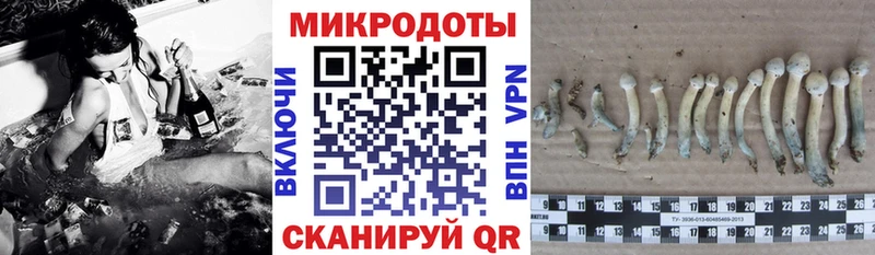 наркота Сосновый Бор Псилоцибиновые грибы мухоморы