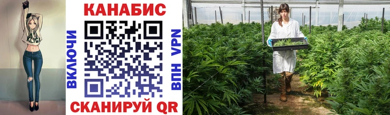 МЕГА   Сосновый Бор  Марихуана SATIVA & INDICA  купить наркотики цена 